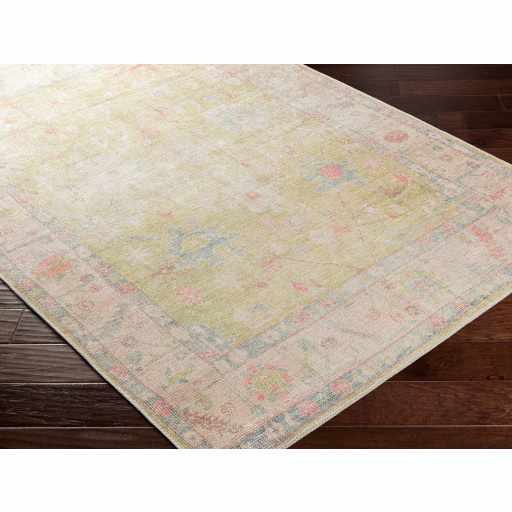 Alfombra lavable de pelo plano vintage Bozkurt