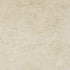 Cappuccino Light Beige Marble Floor and Wall Tile - Livfloors Collection