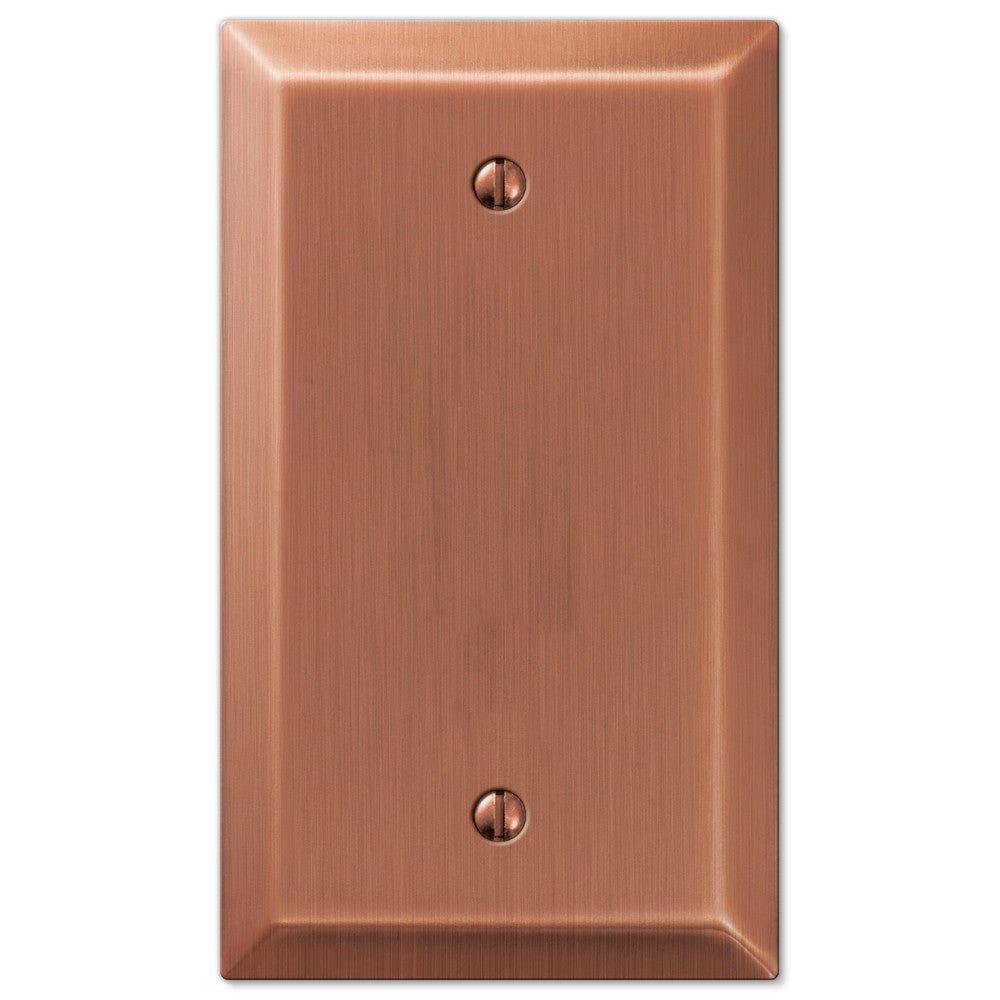 Placa de pared en blanco de acero cepillado Century - 1