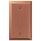 Placa de pared en blanco de acero cepillado Century - 1