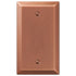 Placa de pared en blanco de acero cepillado Century - 1