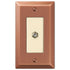 Placa de pared con conector para cable de acero de cobre cepillado Century