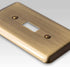 Devon Brushed Brass Steel - 1 Rocker / 1 Duplex Wallplate