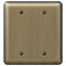 Devon Brushed Brass Steel - 2 Blank Wallplate