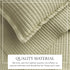3-Piece Solid Quilt - Alicia Collection