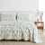 4-Piece Printed Plush Sheet - Velvet Luxe Collection
