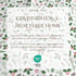 4-Piece Turkish Cotton Flannel Sheet - Whittaker Collection