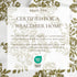 Turkish Cotton Flannel Sheet - Belle Collection