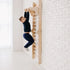 Gym Addition to the Climbing Ladders