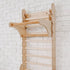 Gym Addition to the Climbing Ladders