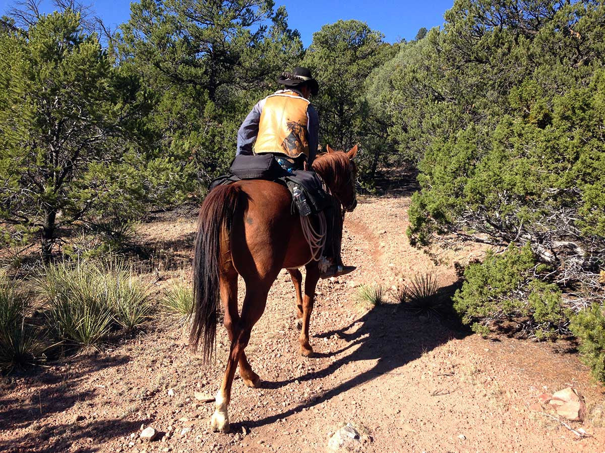 Santa Fe Mountains Hiking Trail Map