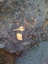 Mount Monadnock Hiking Trail Map