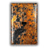 Leopard Copper - 1 Data Jack Wallplate