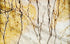 Lupato Gold White Bookmatching Marble Slabs Polished - Livfloors Collection