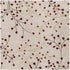 Elsu Beige & Burgandy Wool Rug