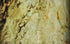 Oliva White Bookmatching Marble Slabs Polished - Livfloors Collection
