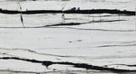 Panda White Bookmatching Marble Slabs Polished - Full Truckload