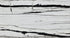 Panda White Bookmatching Marble Slabs Polished - Full Truckload