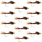 Barbless Bead Head Pheasant Tail Nymph Fly 1 Dozen Flies Hook Size 14