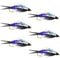 Double Bead Purple Psycho Prince Nymph Fly Fishing Flies - 6 Flies Hook Size 8