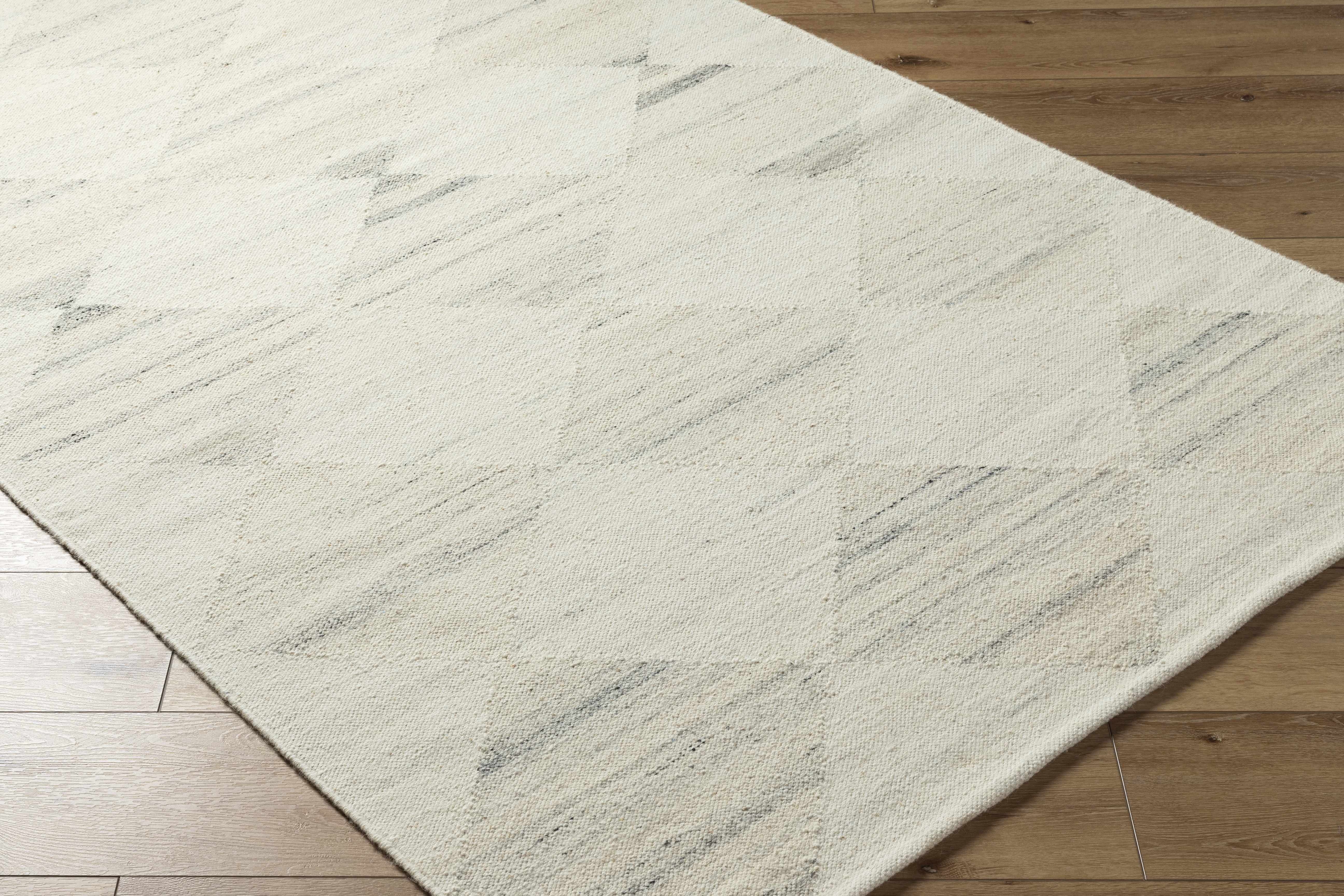 Rakin Area Rug
