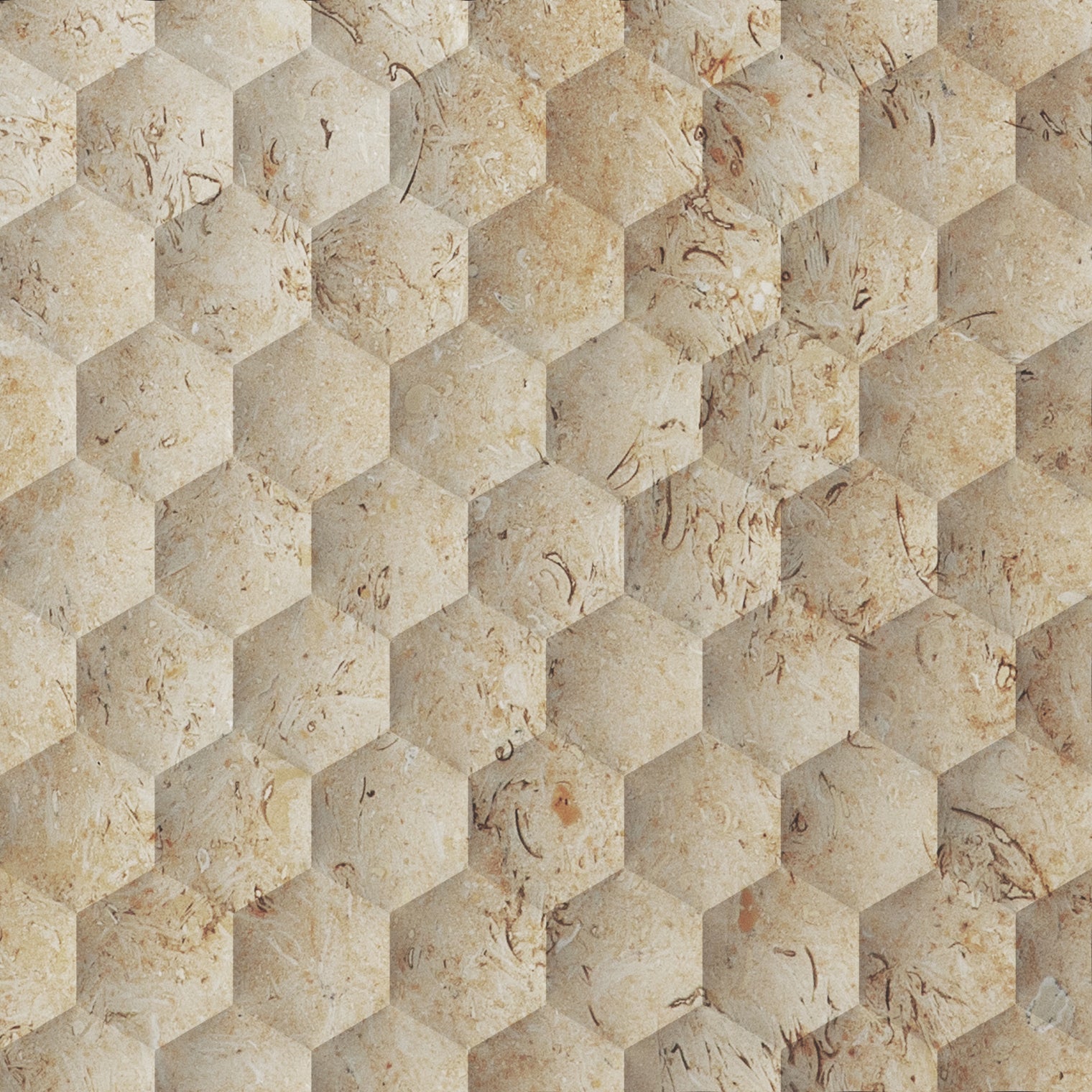 Seabed Limestone Field Dimensional Carved Stone HEXAGON Wall Tile - Livfloors Collection