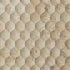 Seabed Limestone Field Dimensional Carved Stone HEXAGON Wall Tile - Livfloors Collection