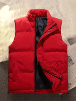 Versatile Vest