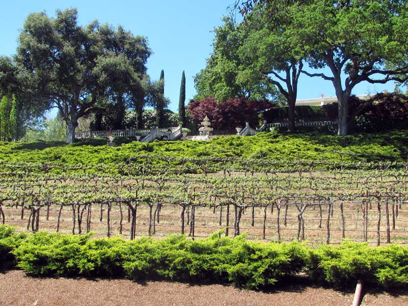 Sonoma Valley & Carneros Hiking Trail Map