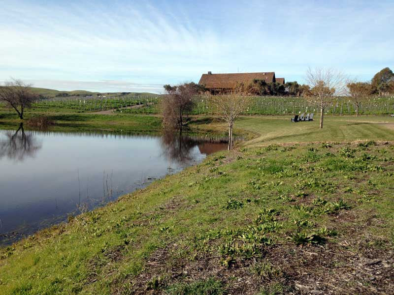 Sonoma Valley & Carneros Hiking Trail Map