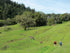 Sonoma Valley Trails Hiking Trail Map