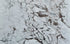 Stingray White Bookmatching Marble Slabs Polished - Livfloors Collection