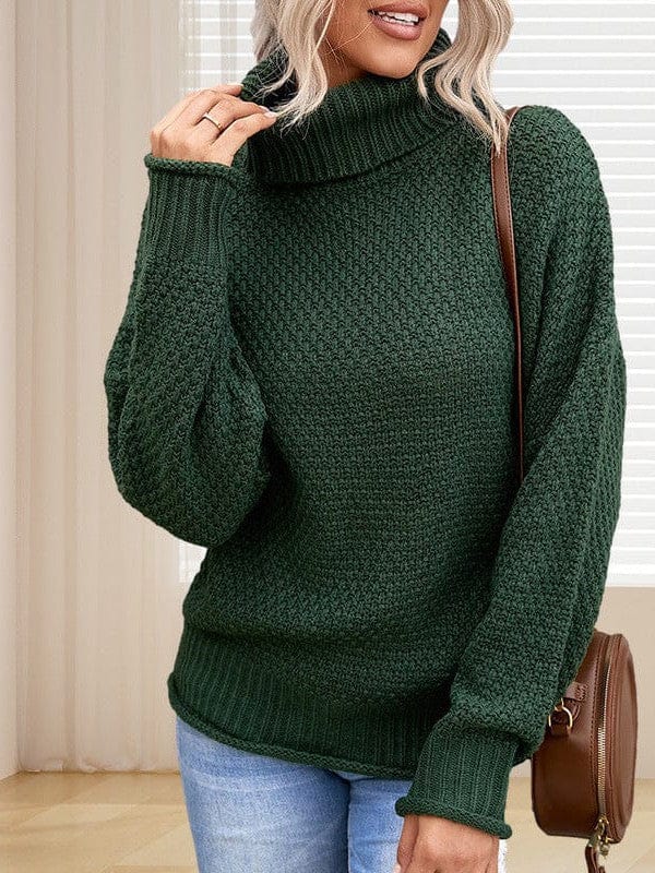 Stylish Turtleneck Sweater