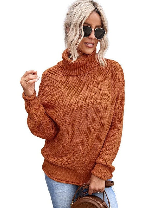 Stylish Turtleneck Sweater
