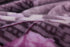 DaDa Bedding Orchid Blossoms Striped Floral Lavender Plush Fleece Flannel Throw Blanket (XY9833)