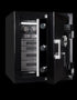 TL-15 Luxury Jewelry Safe with Biometric Lock 4 watch wider, 4 jewelry drawer