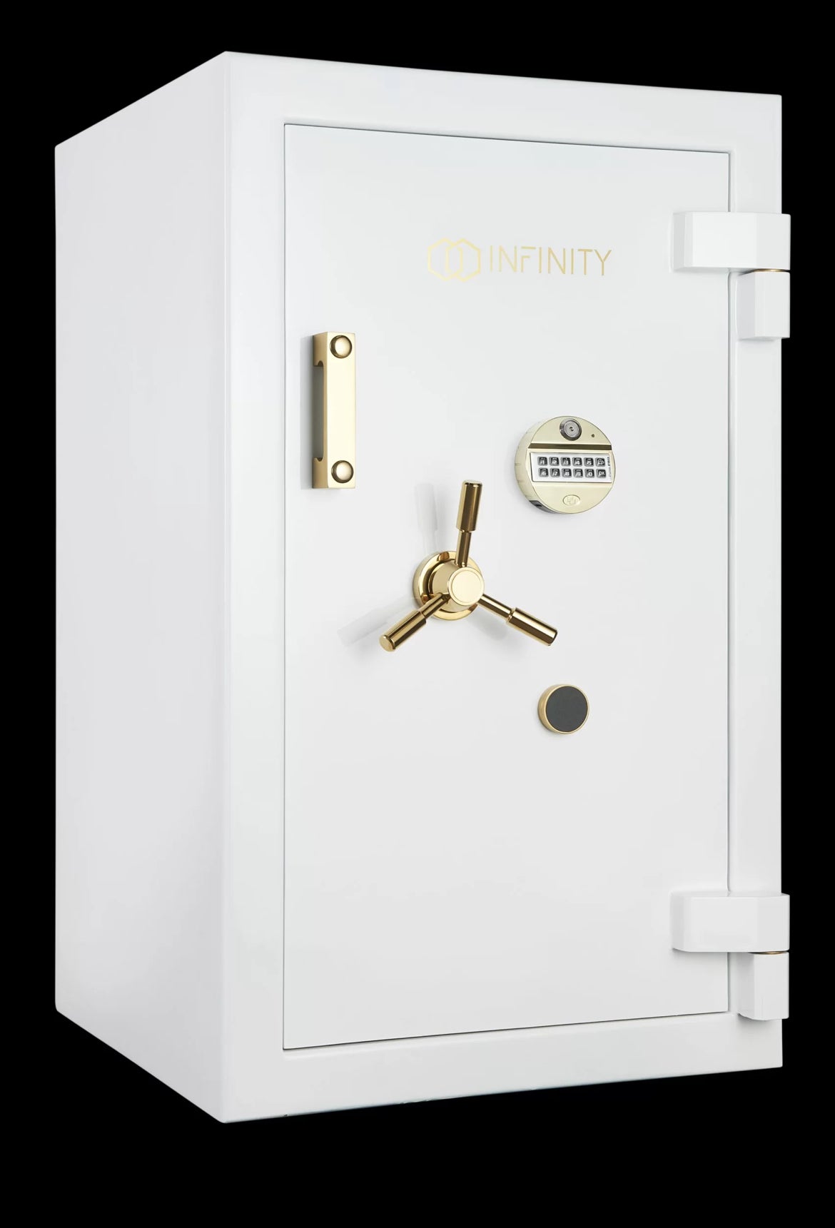 TL-15 Luxury Jewelry Safe with Biometric Lock 4 watch wider, 4 jewelry drawer