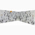 Calacatta Viola White Bookmatching Marble Slabs Polished - Full Truckload