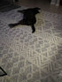Alfombra de lana Whittington