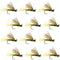 Olive X Caddis Emerging Caddis Adult Trout Dry Fly - 1 Dozen Flies Hook Size 18