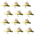 Olive X Caddis Emerging Caddis Adult Trout Dry Fly - 1 Dozen Flies Hook Size 18
