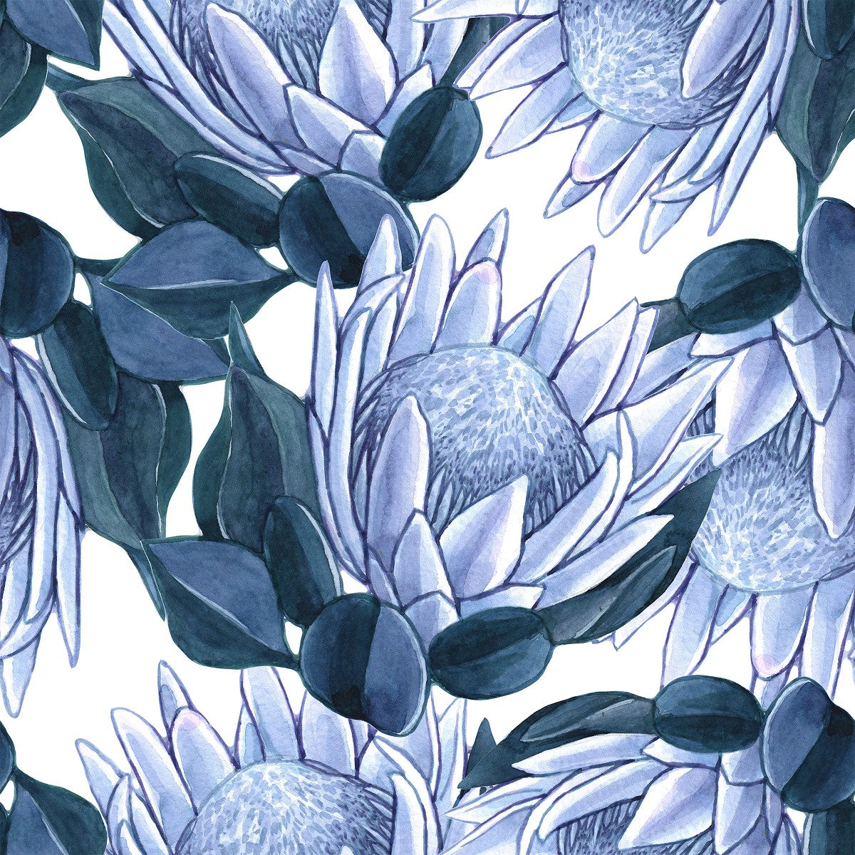 Fashionable Blue Protea Wallpaper Vogue