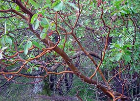 Point Reyes Hiking Trail Map