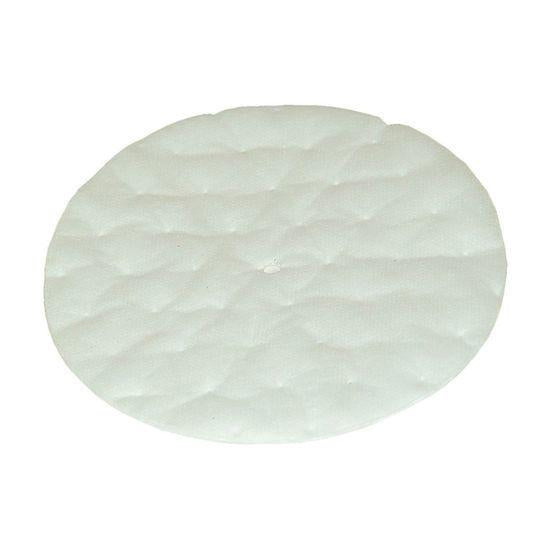 ProTeam Vacuum 101220 High Filtration Discs for Dome Filter (2 pk.)