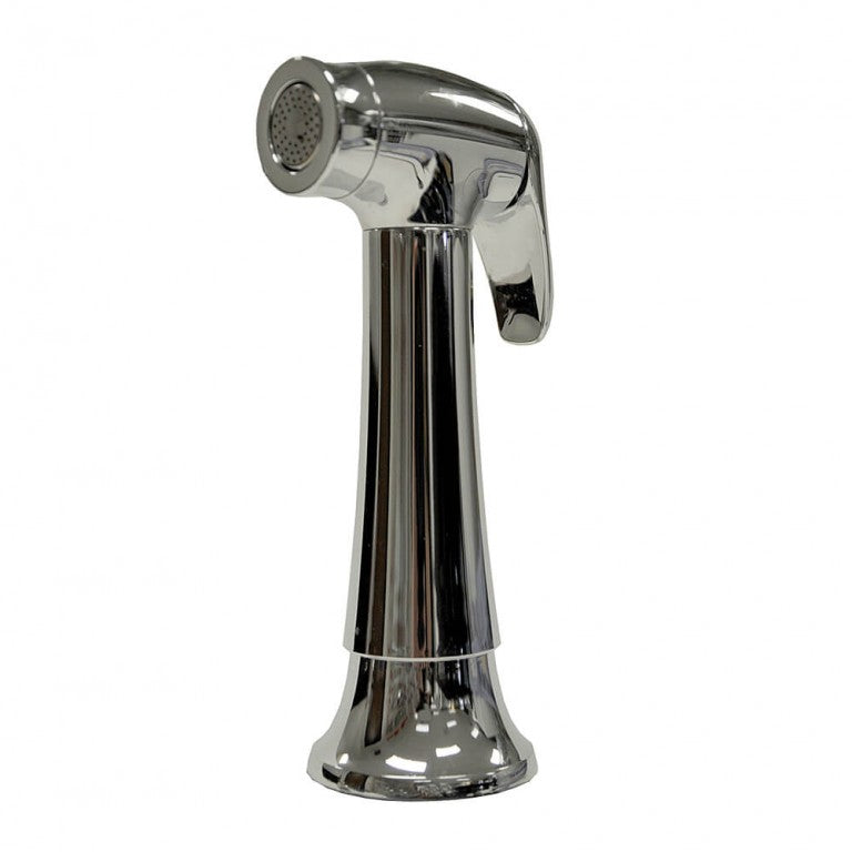 Danco 10330 Transitional Side Spray with Guide in Chrome