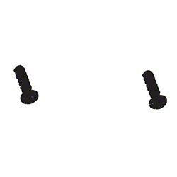 ProTeam Vacuum 106525 Screw 6-19 x.625 Inch Set of Two for Wessel Power Nozzle